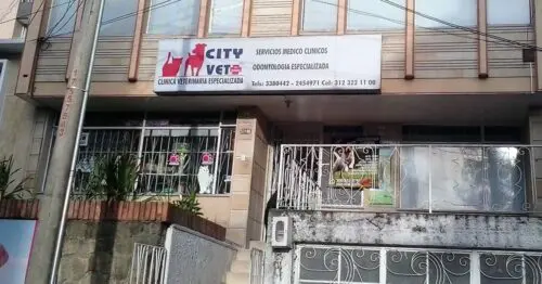 CITY VET CLINICA VETERINARIA ESPECIALIZADA CITY VET CLINICA VETERINARIA ESPECIALIZADA